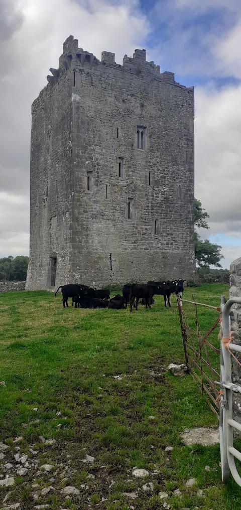 Lorrha Monastic Village