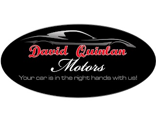 David Quinlan Motors