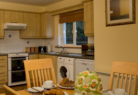 Trident Holiday Homes - Forest Haven Holiday Homes