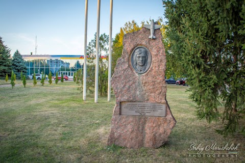 Кропивницький. Пам'ятник Петру Вересоцькому