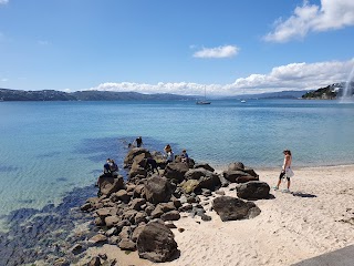 Oriental Bay Lookout