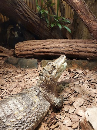 Terrarium Zoo Wrocław