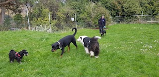 SPCA Dunedin Centre