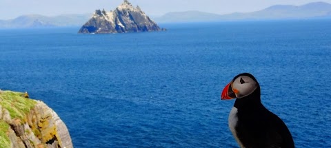 Skellig Michael Tours | Skelligs Coast Cruises