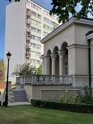 Kino Wolność