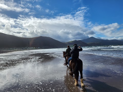 ROSSBEIGH Beach Horse Riding Centre