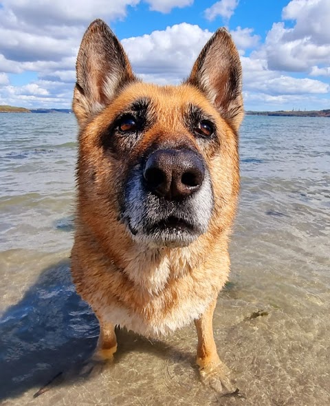 Lough Beg Beach