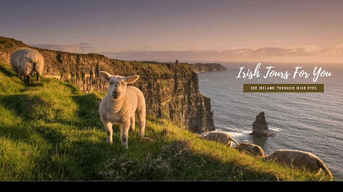 Irish Tours For You