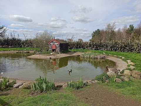 Kildare Farm Foods, Open Farm & Shop