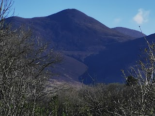 Trident Holiday Homes - Purple Mountain Holiday Home