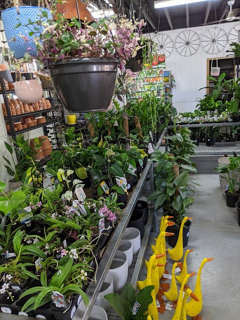 Aumann's Building and Garden Supplies