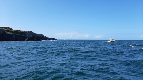 Whale Watch West Cork