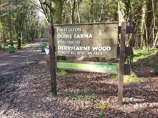 Derrycarne Wood