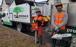 Tree Surgeons & Tree Removal - Pro Gardening - Limerick