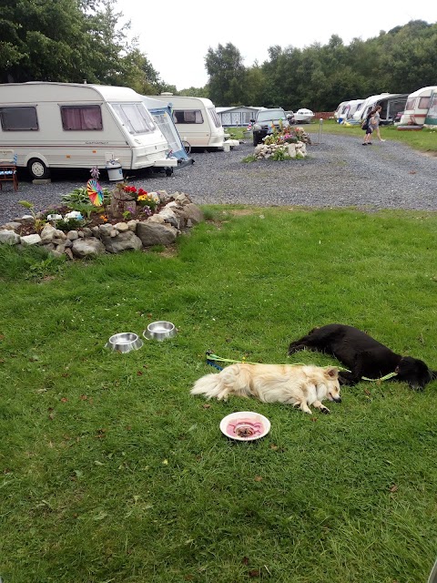 Derravaragh Caravan Park/ Lough Derravaragh