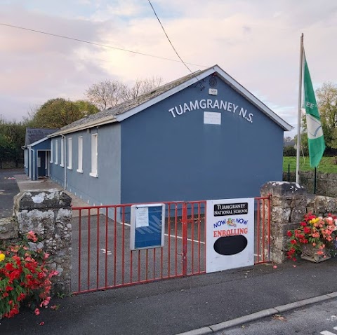 Taumgraney National School