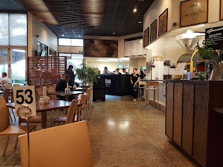 Altura Coffee Company