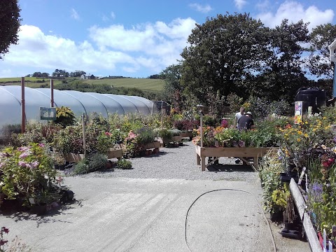 Clonakilty Garden Centre