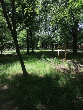 Park Dąbski we Wrocławiu