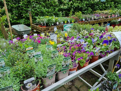 Ardnacrusha Garden Centre