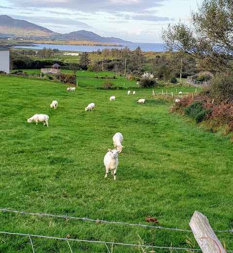 Coulagh Bay House B&B