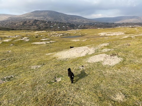 Derrynane Seashore Nature Trail