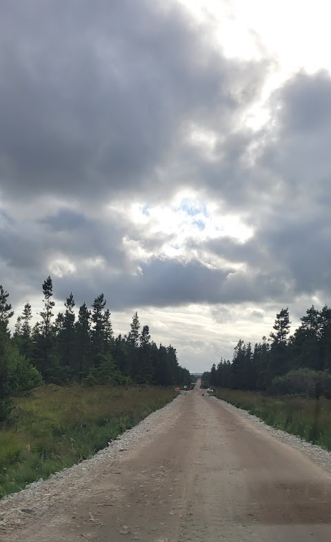 Sheskin forest trail