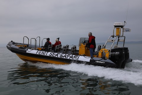 Fenit Sea Safari