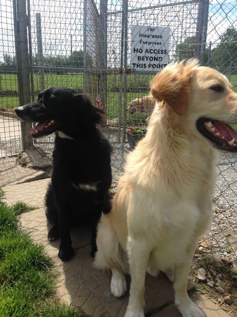 Monarone Boarding Kennels