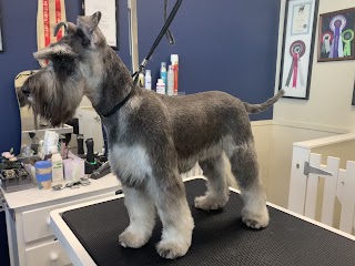 Furever Fluffy Dog Grooming