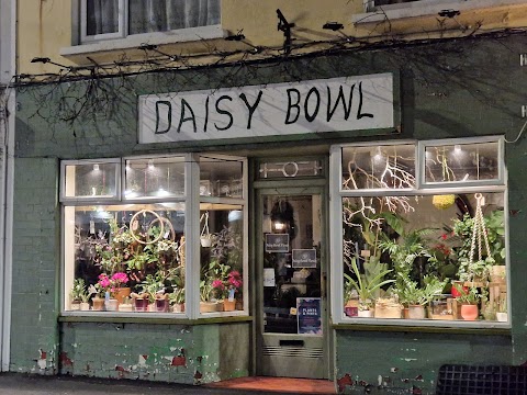 Daisy Bowl Florists