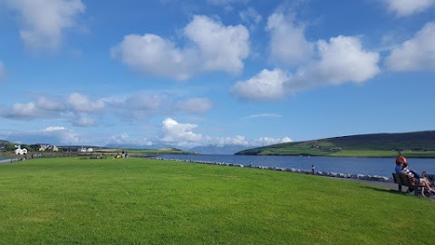 Dingle Boat Tours