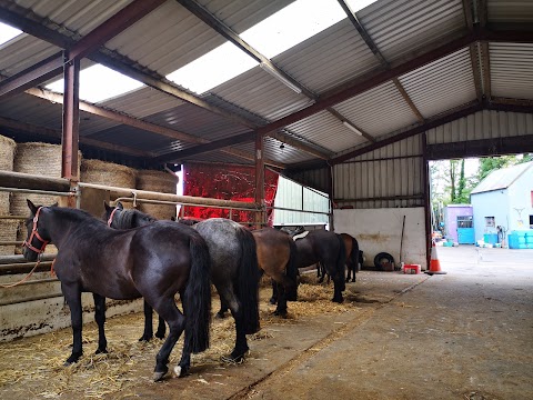 Dromquinna STABLES