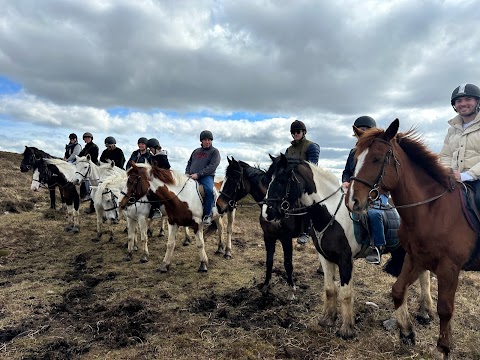 Feeneys Equestrian Centre Galway