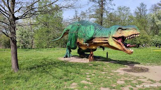 Zoo Lubin - Ogród Zoologiczny w Lubinie