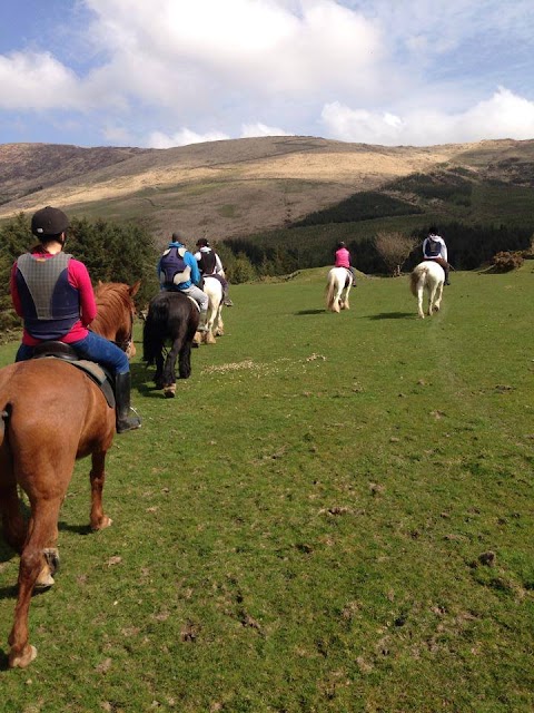 Bantry Pony Trekking