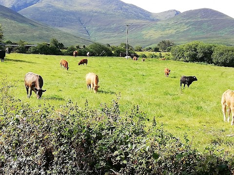 Farmstead Lodge B&B