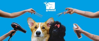 Groomil - Salon pielęgnacji psów