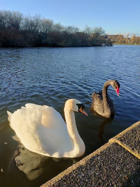 The Lough Trail