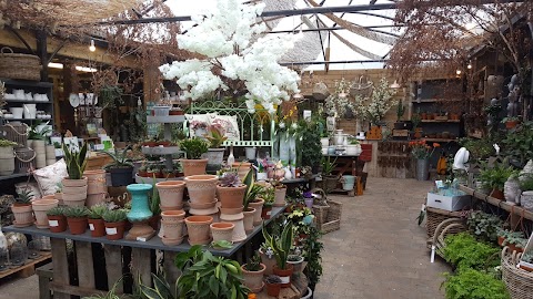 Clarenbridge Garden Centre