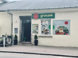 Sklep spożywczy Groszek