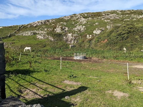 The Point Pony Trekking & Horse Riding Centre