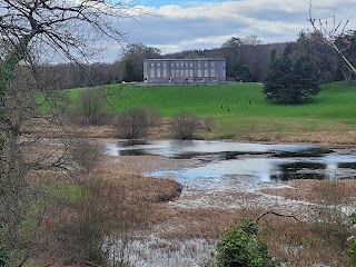 Curraghchase Forest Park