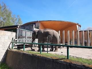 ZOO - Brama boczna