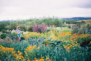 Willow and Wild Farm