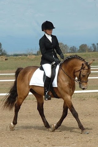 Irish School of Horsemanship