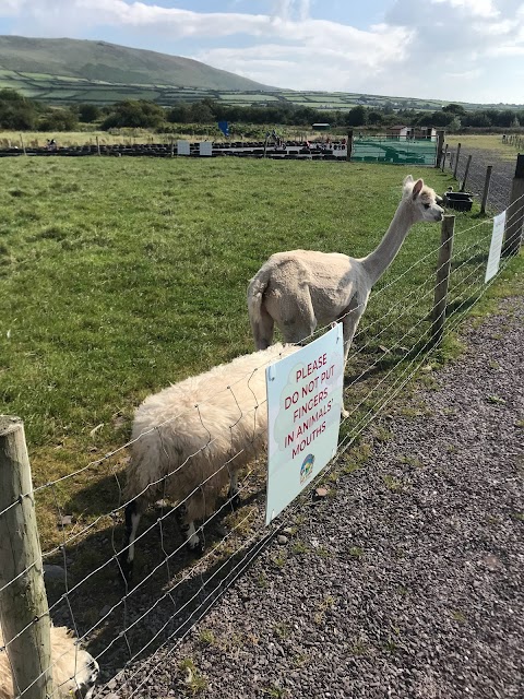 Dingle Pet Farm