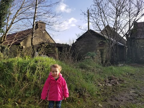 The Old Thatched Cottage