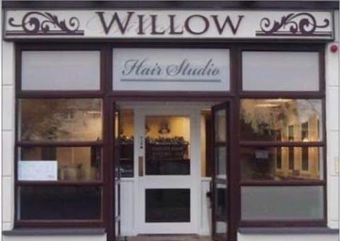 Willow Hair Studio