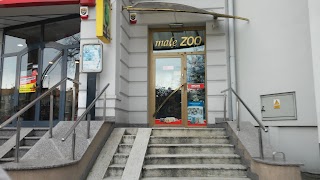 Małe Zoo